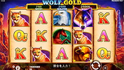 National CasinoのWolf Gold
